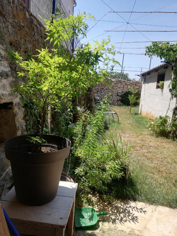 Appartamento Old Istrian House,Free Parking Galižana Esterno foto